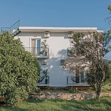 Olive Grove Boutique