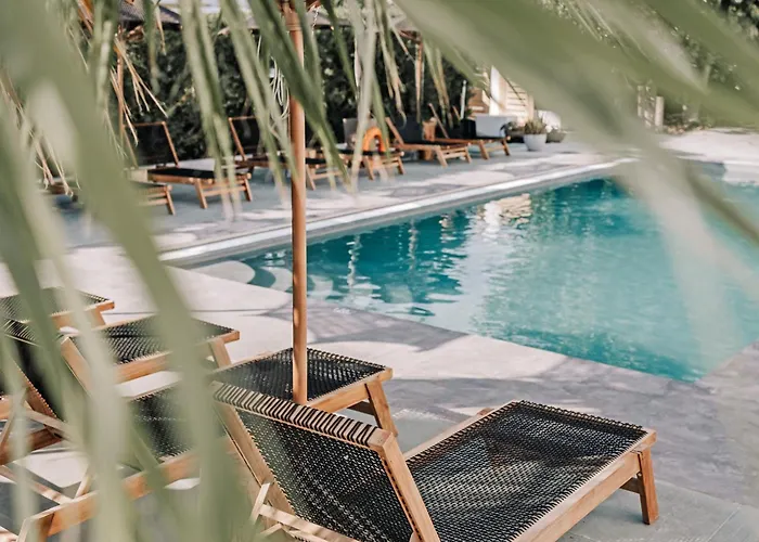 ホテル Olive Grove Boutique 4*