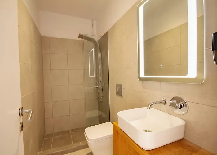 ホテル Olive Grove Boutique 4*