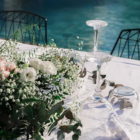 Olive Grove Boutique